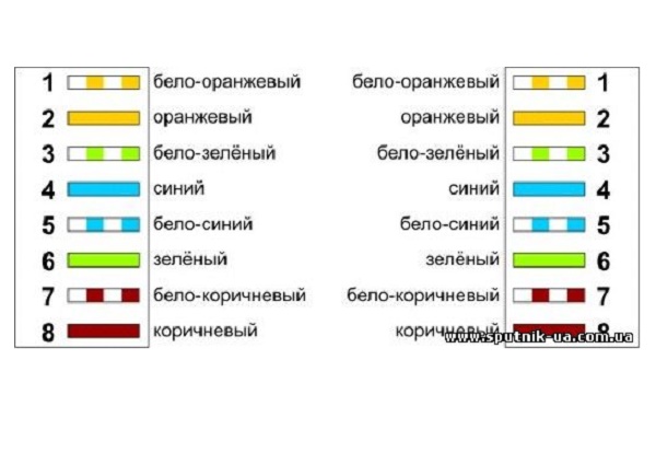  �� ��������� �������� ���������� RJ-45 5 �������, ������� ���� (��������� ������)
